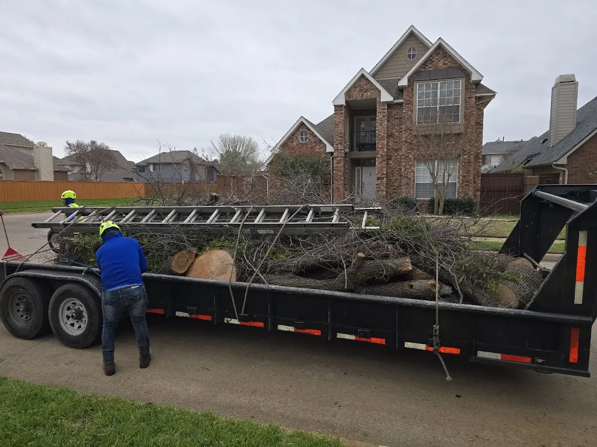 Expert Lot Clearing with proper safety equipment in Rushville